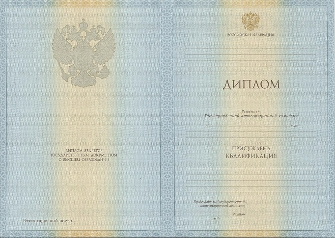 Диплом бухгалтера 2009-2010 года